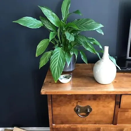 Casa de Férias Mews - 2 Bedroom Arnside